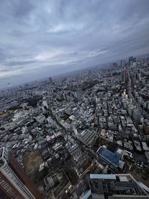 Grand Hyatt Tokyo by null