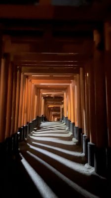 Senbon Torii (Thousand Torii Gates) by null