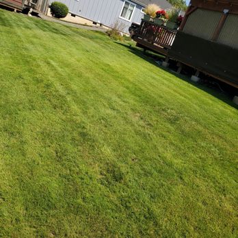Dolan Dynamic Landscaping - a lawn with a house in the background - Landscaping Near Me Dolan Dynamic Landscaping - a lawn with a house in the background - Landscaping Near Me