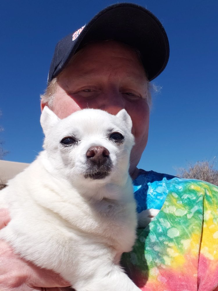 WAGGY TAILS PET CARE Updated October 2024 73 Photos Las Cruces