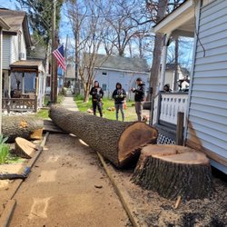 Wingates Tree Service
