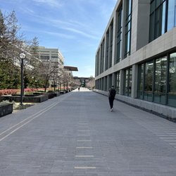 Discovery Walk