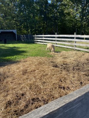 DuBois Farms by null