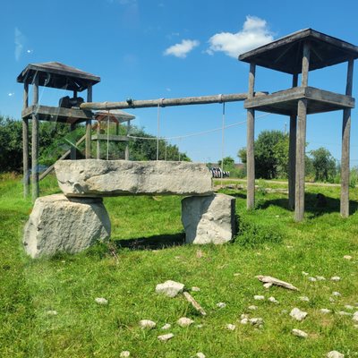 African Lion Safari by null