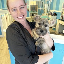 Ashley’s Barks N’ Bubbles - Brody at his first grooming appointment.