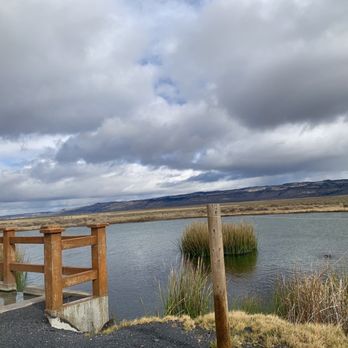 Crane Hot Springs - The wildlife pond the soaking pool empties into - Resorts Near Me - Burns, Oregon