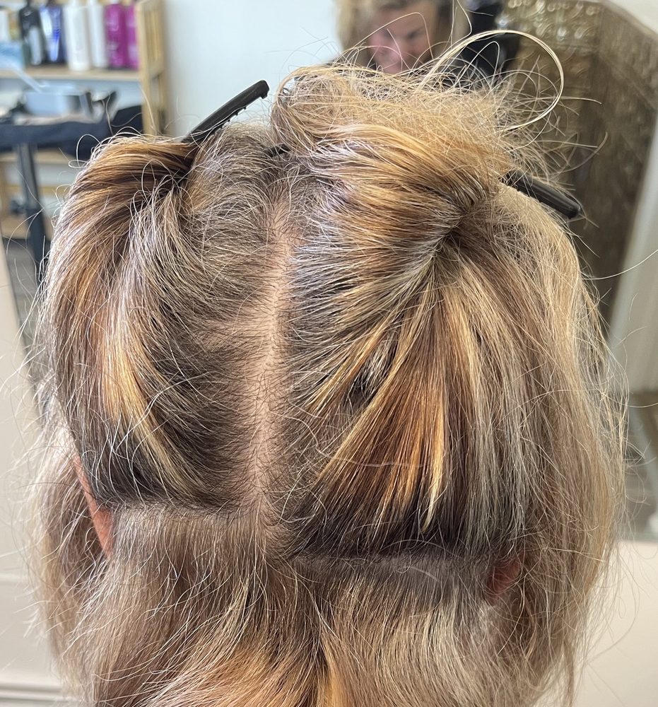 LEMON HEAD HAIR SALON 37 Photos & 41 Reviews 145 E College Dr