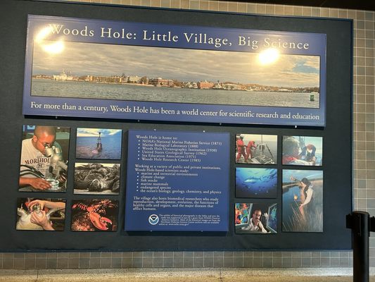 Woods Hole Science Aquarium by null