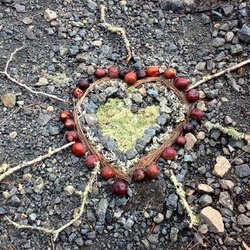 Mindful Nature Practice