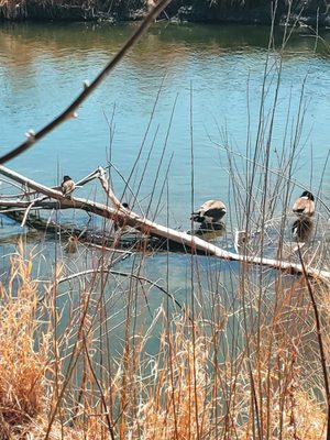 Jordan River Parkway - South Salt Lake