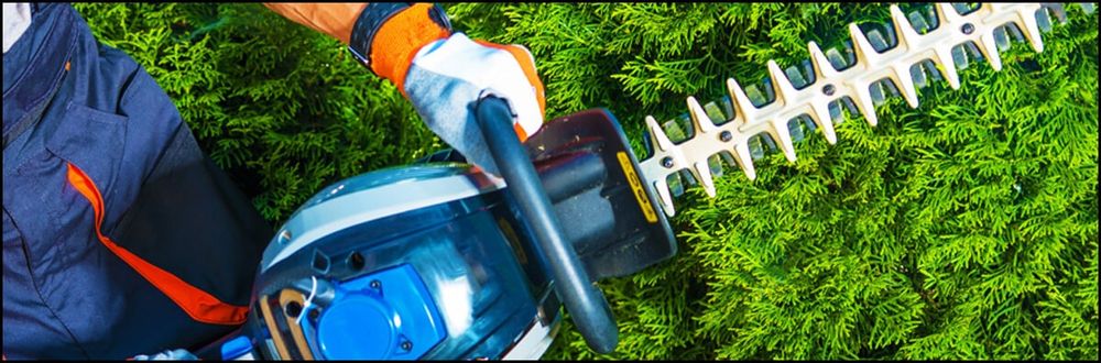Cary Kellogg's Tree Service - tree service in Tampa, FL
