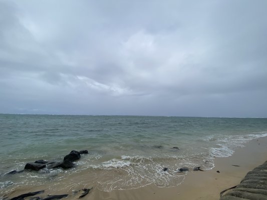Punaluʻu Beach by null