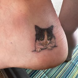 That Tattoo Studio - Realistic cat tattoo