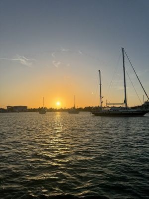 Visit Palm Beach by null