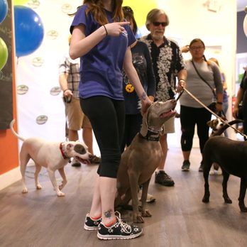 A Closer Bond Dog Training & Learning Center - Wood Street - Pack Walk! Find info on our next pack walk here: https://www.acloserbond.com/bond-events - Pet Training Near Me - Palatine, Illinois A Closer Bond Dog Training & Learning Center - Wood Street - Pack Walk! Find info on our next pack walk here: https://www.acloserbond.com/bond-events - Pet Training Near Me - Palatine, Illinois