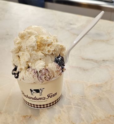 Richardson's Ice Cream by null