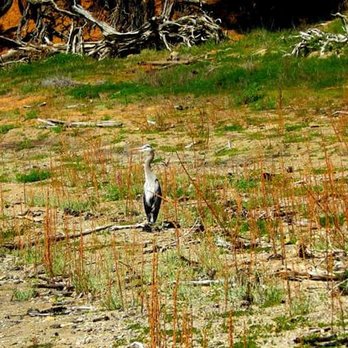 San Pablo Reservoir - Hiking Near Me - El Sobrante, California San Pablo Reservoir - Hiking Near Me - El Sobrante, California