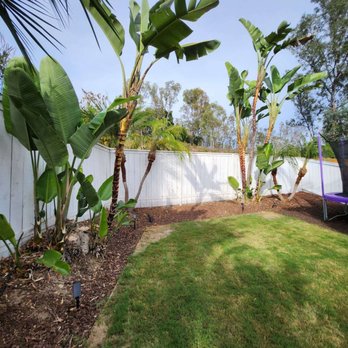ArborCare Tree Care - After the trees we trimmed and cut - Tree Services Near Me ArborCare Tree Care - After the trees we trimmed and cut - Tree Services Near Me