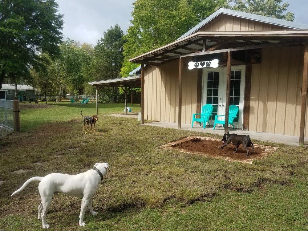PEACE LOVE PAWS PET SERVICES Jacksonville, FL Yelp