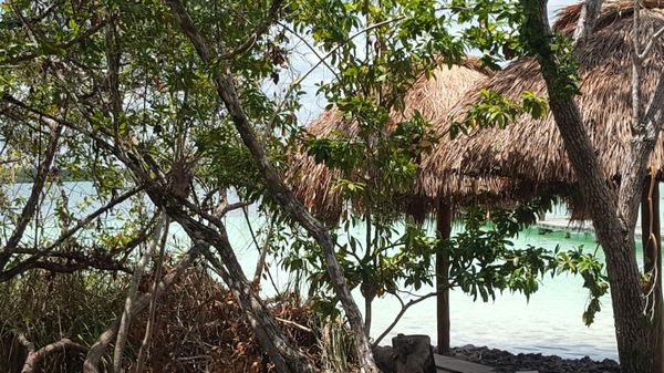 Laguna de Kaan Luum by null