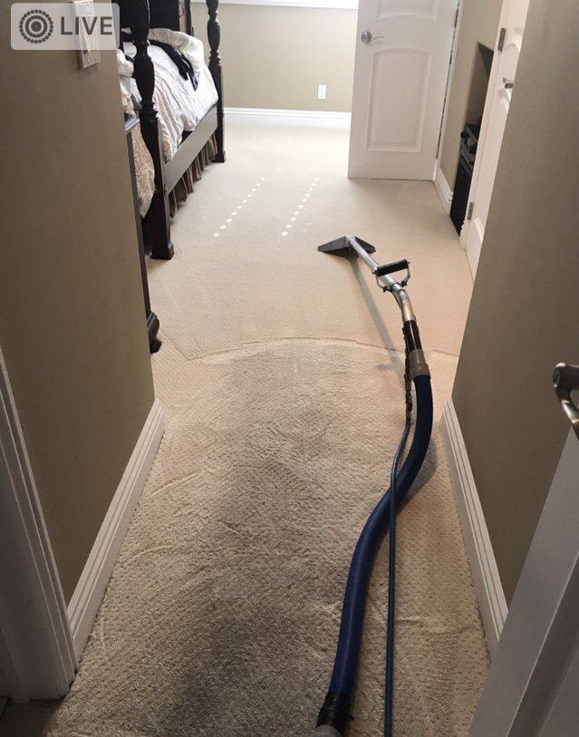 SUTHERLAND CARPET AND UPHOLSTERY CLEANING 128 Photos & 180 Reviews