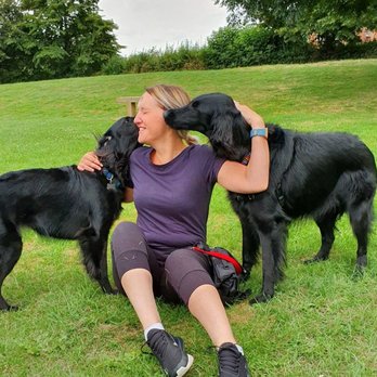 Your Pet First - Dog Walkers Near Me