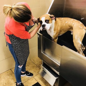 Reber Ranch - Pet Stores Near Me - Kent, Washington