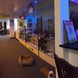 Action House Vape & Hookah