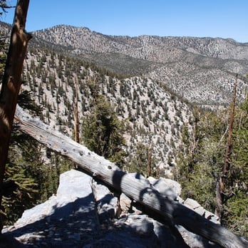 Ancient Bristlecone Pine Forest - Methuselah trail; Ancient Bristlecone Pine Forest - Parks Near Me - Bishop, California Ancient Bristlecone Pine Forest - Methuselah trail; Ancient Bristlecone Pine Forest - Parks Near Me - Bishop, California