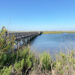Bolsa Chica Ecological Reserve photo 4