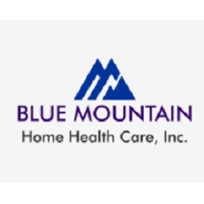 Blue Mountain Home Health Care - child therapist in Pottsville, PA
