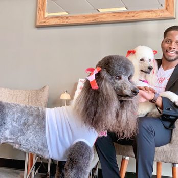 TheKey - Formerly Home Care Assistance - Ava and Amira love supporting @MichaelLogan and our Home Care Assistance Houston, TX office! #HomeCare #SeniorCare - Home Health Care Near Me - Houston, Texas TheKey - Formerly Home Care Assistance - Ava and Amira love supporting @MichaelLogan and our Home Care Assistance Houston, TX office! #HomeCare #SeniorCare - Home Health Care Near Me - Houston, Texas