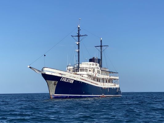 Quasar Expeditions by null