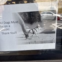 Union Gospel Mission - Dogs on leash