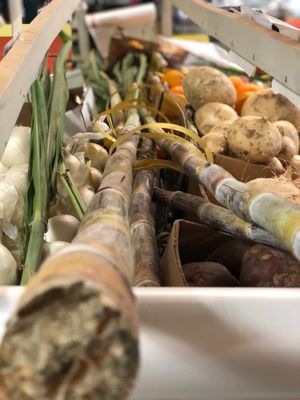 Campos Market by null