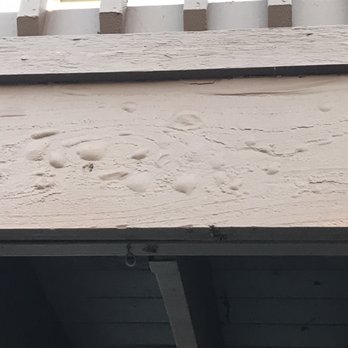 X-Stream Power Wash & Paint - Painters Near Me X-Stream Power Wash & Paint - Painters Near Me