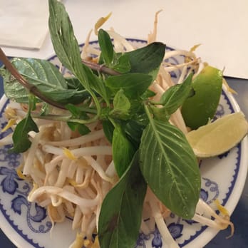 Restaurant Y Lan - Tiny portion of bean sprouts and basil to be shared between a large Phō and medium Phō - Vietnamese Near Me - Montreal, Quebec Restaurant Y Lan - Tiny portion of bean sprouts and basil to be shared between a large Phō and medium Phō - Vietnamese Near Me - Montreal, Quebec