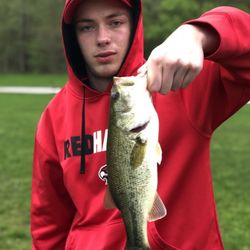 Kendall Lake Shelter - Largemouth Bass