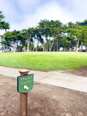 Bayonet & Black Horse by null