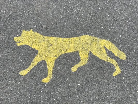 Berlinetta Brewing by null