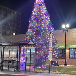 Edward Everett Square