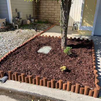Freymann Construction - Orange tree mulched (he removed concrete and rocks and put in mulch and succulents...) before final touches - Landscaping Near Me Freymann Construction - Orange tree mulched (he removed concrete and rocks and put in mulch and succulents...) before final touches - Landscaping Near Me