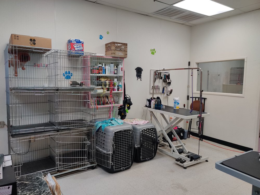 BARK & PURR PET GROOMING 76 Photos & 53 Reviews 4334 W Thunderbird