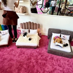 Vanderpump Dogs - Dog beds