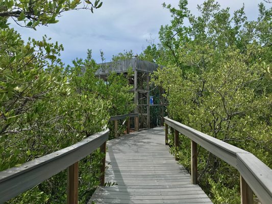 Wild Bird Sanctuary - Florida Keys Wild Bird Center by null