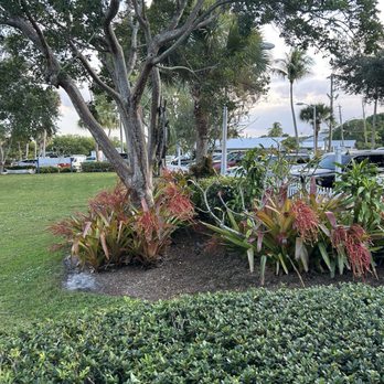 Pirate's Cove Waterfront Dining - Beautiful plants - Seafood Near Me - Stuart, Florida Pirate's Cove Waterfront Dining - Beautiful plants - Seafood Near Me - Stuart, Florida