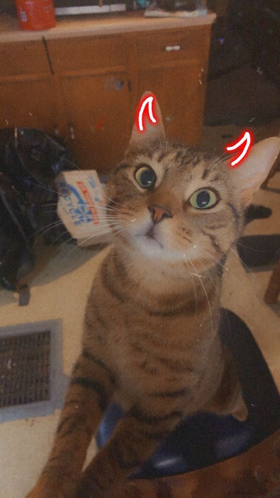 SOCKY’S RESTAURANT Updated September 2024 406 Erie Ave, Renovo, Pennsylvania American