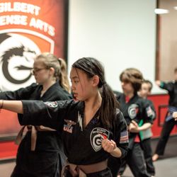 Gilbert Defense Arts