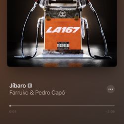 Rubio - Bar