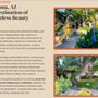Photo of JnM Web Creations